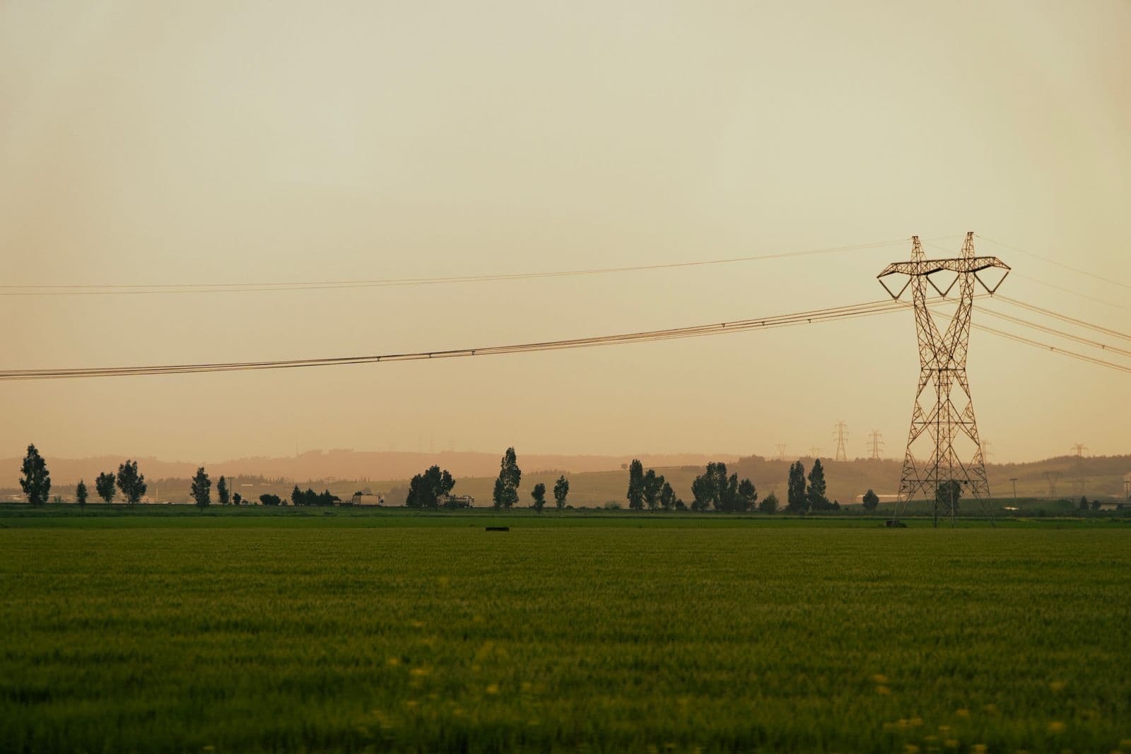 Rural power lines crossing open farmland, classic cooperative service territory.