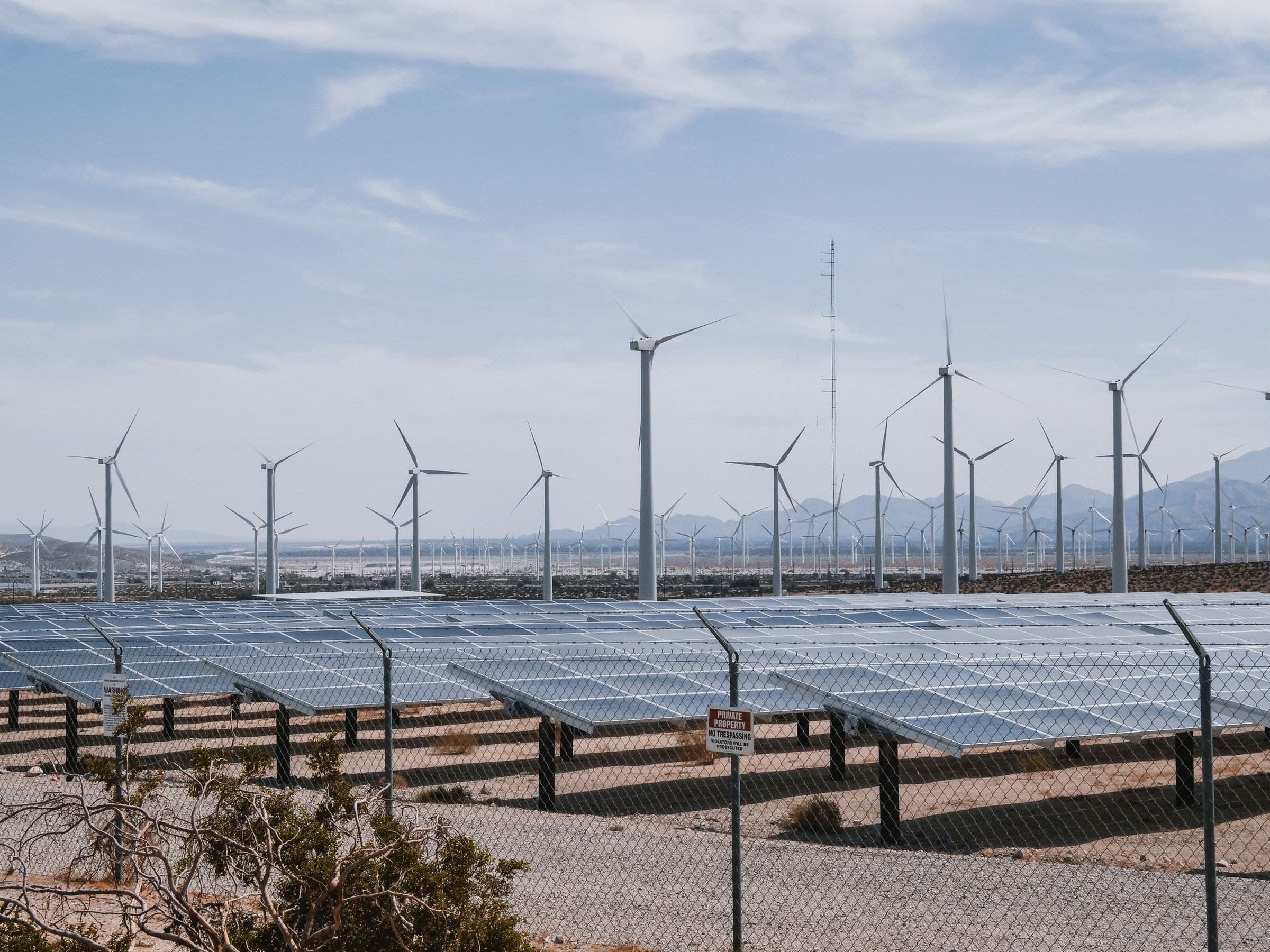 A solar array in the foreground with a line of wind turbines behind it under a bright sky.